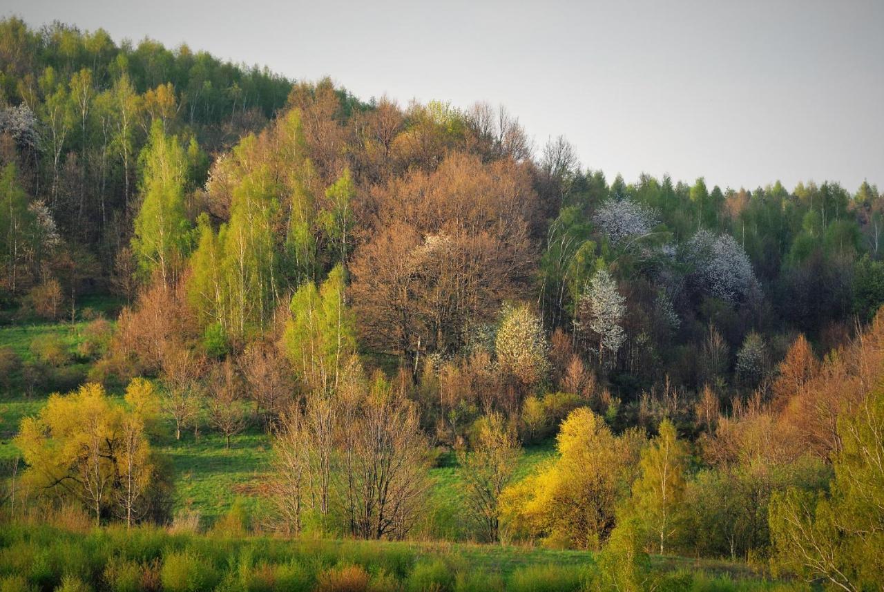 Przytulne Studio Borówkowy Zagajnik Piechowice  Exterior foto