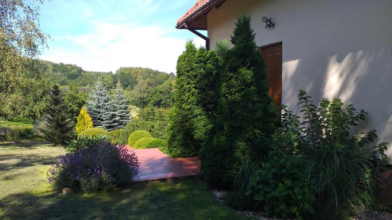 Przytulne Studio Borówkowy Zagajnik Piechowice  Exterior foto