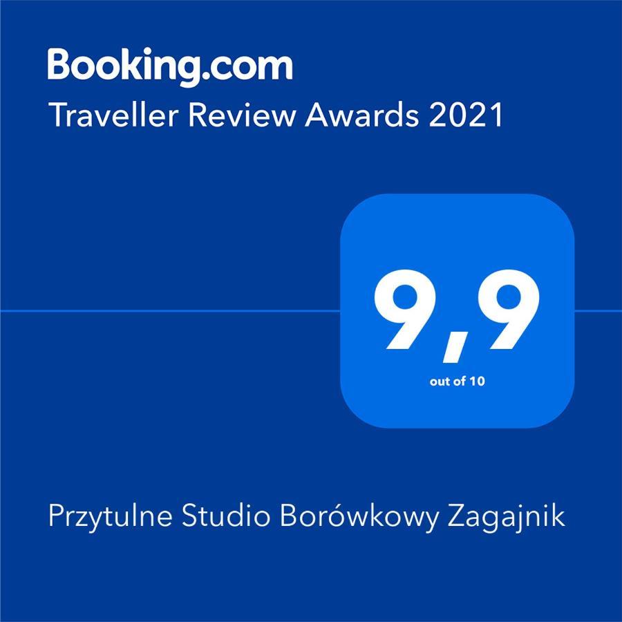 Przytulne Studio Borówkowy Zagajnik Piechowice  Exterior foto